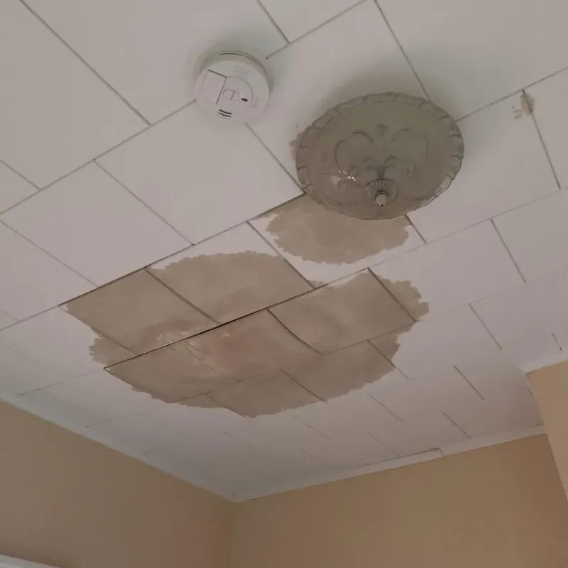 Ceiling Water Damage Repair in Champlain, NY